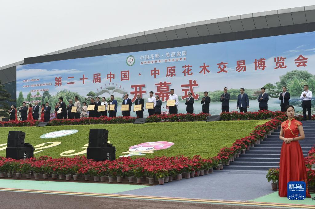 网上现金盘
